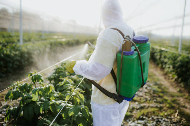  Rockwall, TX Pest Control Pros